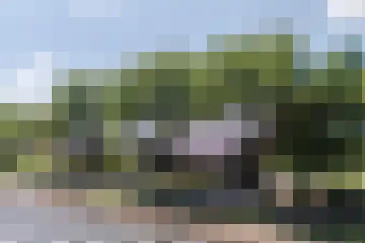 Tervoortseweg 10 E Bavel thumbnail 12