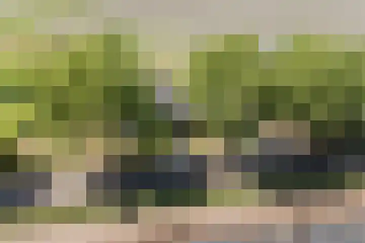 Tervoortseweg 10 E Bavel thumbnail 13