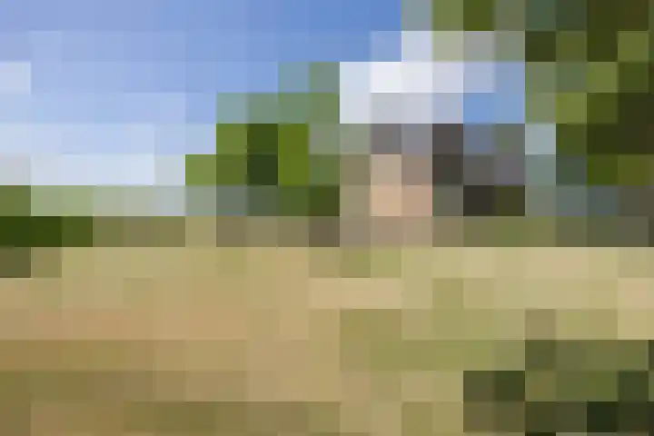 Tervoortseweg 10 E Bavel thumbnail 14