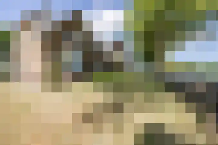 Tervoortseweg 10 E Bavel thumbnail 15