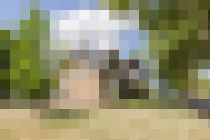 Tervoortseweg 10 E Bavel thumbnail 16