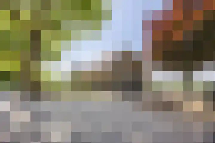 Tervoortseweg 10 E Bavel thumbnail 17