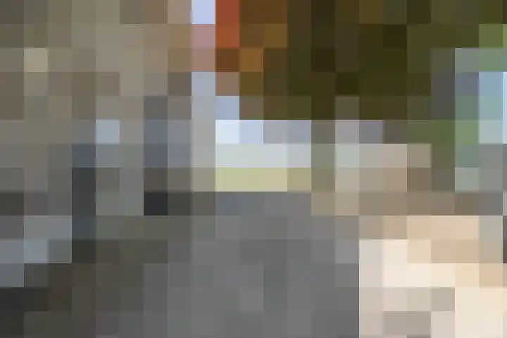 Tervoortseweg 10 E Bavel thumbnail 19