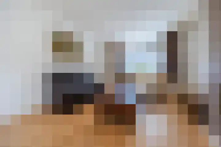 Tervoortseweg 10 E Bavel thumbnail 20