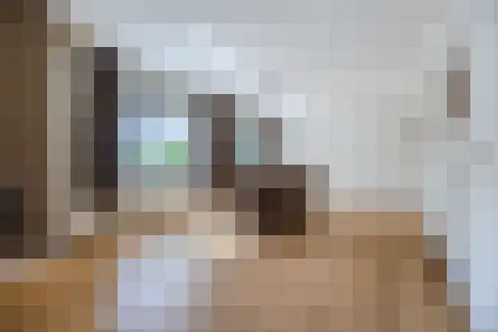 Tervoortseweg 10 E Bavel thumbnail 22