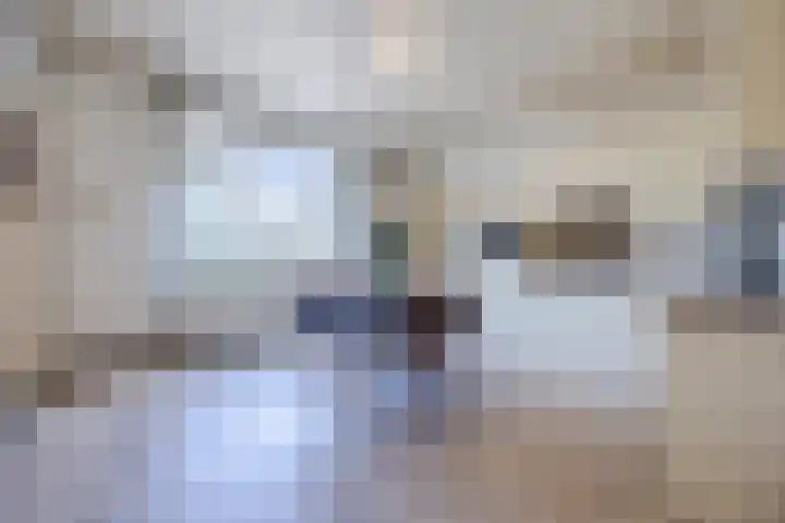 Tervoortseweg 10 E Bavel thumbnail 23