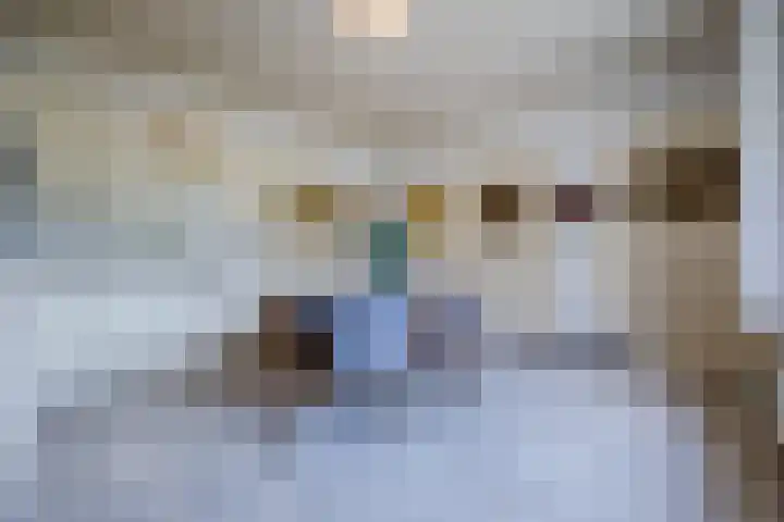 Tervoortseweg 10 E Bavel thumbnail 24