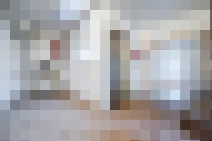 Tervoortseweg 10 E Bavel thumbnail 31