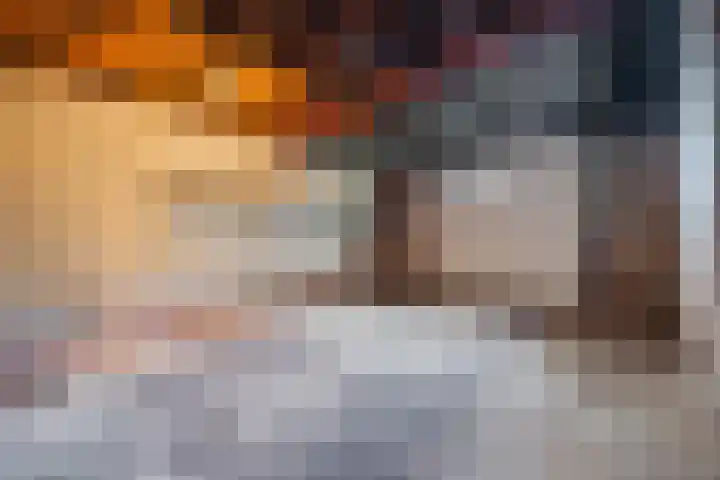 Tervoortseweg 10 E Bavel thumbnail 33