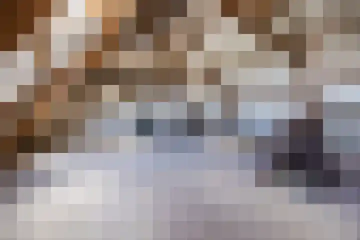 Tervoortseweg 10 E Bavel thumbnail 34