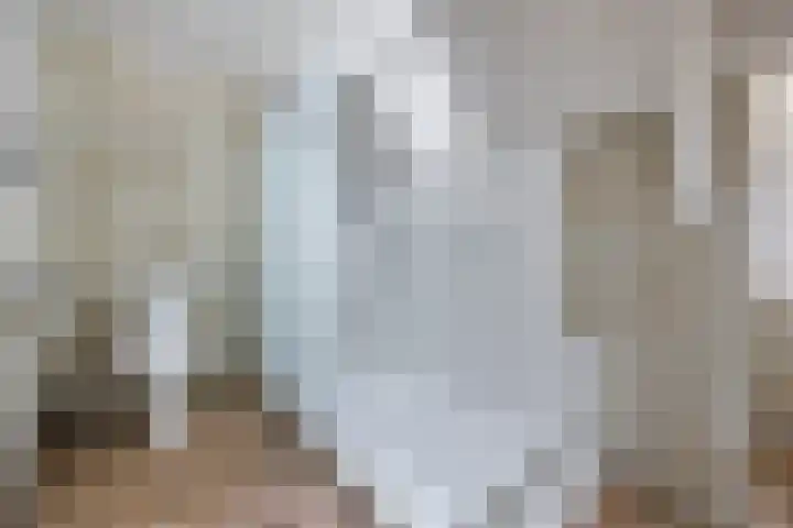 Tervoortseweg 10 E Bavel thumbnail 37