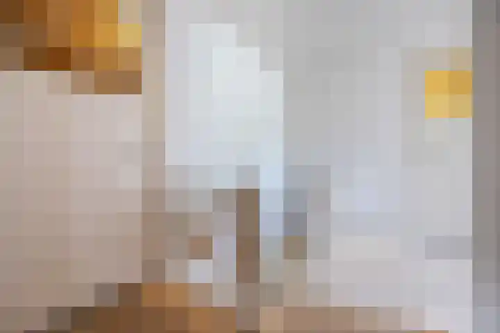 Tervoortseweg 10 E Bavel thumbnail 39