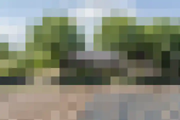 Tervoortseweg 10 E Bavel thumbnail 4
