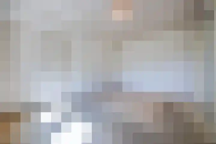 Tervoortseweg 10 E Bavel thumbnail 41