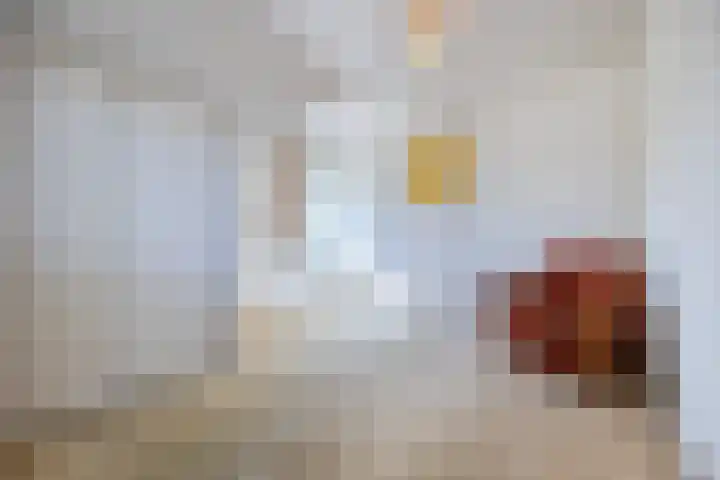 Tervoortseweg 10 E Bavel thumbnail 42