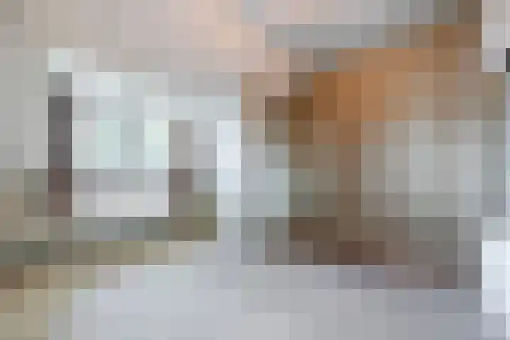Tervoortseweg 10 E Bavel thumbnail 43