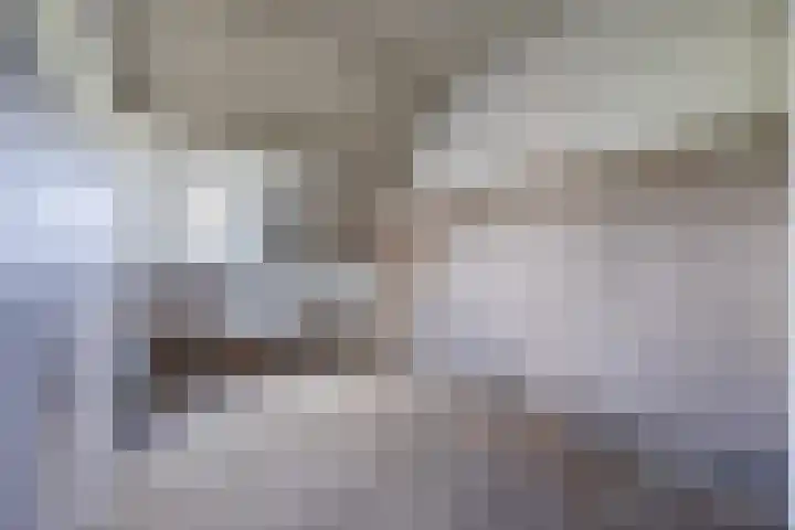 Tervoortseweg 10 E Bavel thumbnail 46