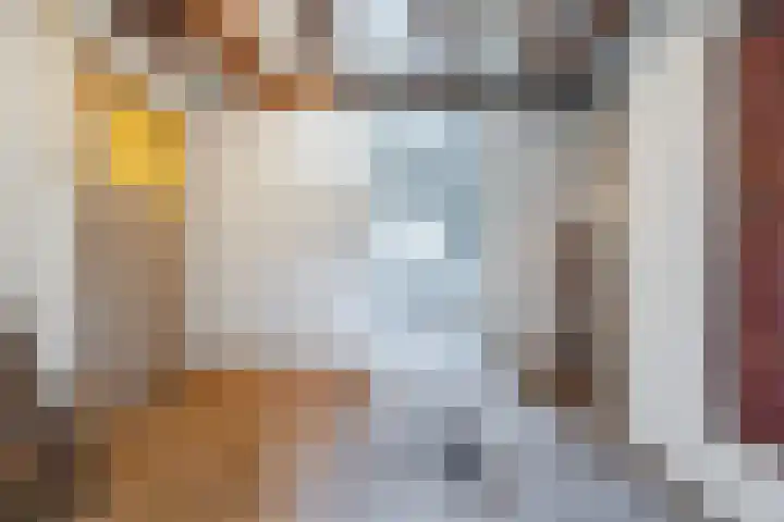 Tervoortseweg 10 E Bavel thumbnail 47