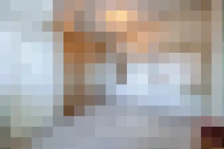 Tervoortseweg 10 E Bavel thumbnail 48