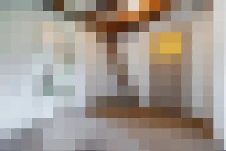 Tervoortseweg 10 E Bavel thumbnail 49