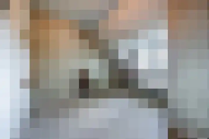 Tervoortseweg 10 E Bavel thumbnail 50
