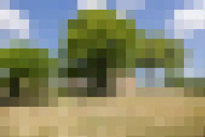 Tervoortseweg 10 E Bavel thumbnail 51