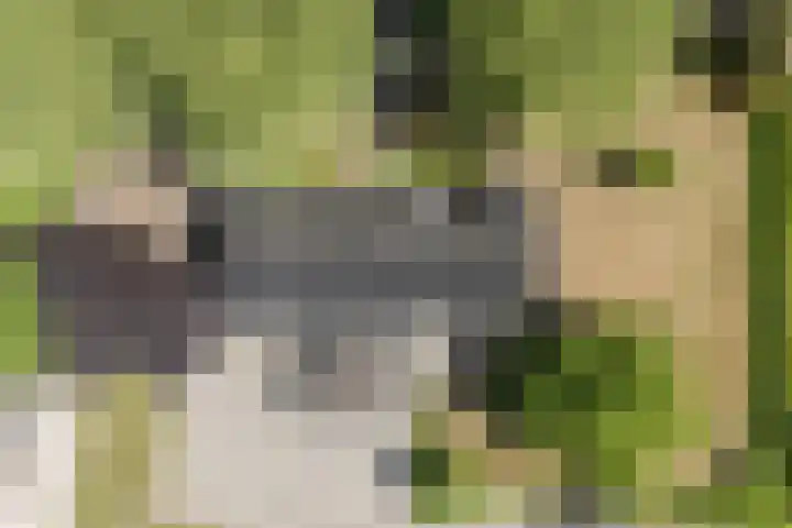 Tervoortseweg 10 E Bavel thumbnail 53