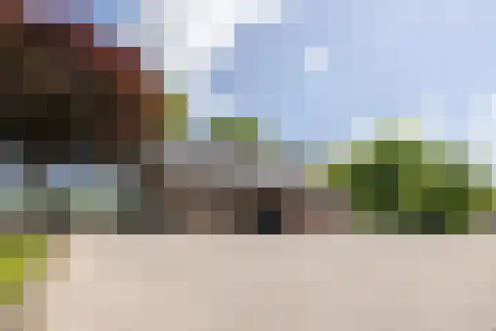 Tervoortseweg 10 E Bavel thumbnail 54
