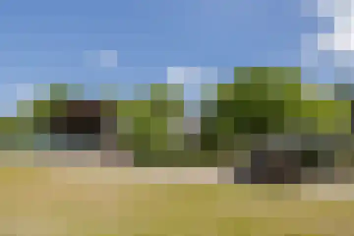 Tervoortseweg 10 E Bavel thumbnail 56