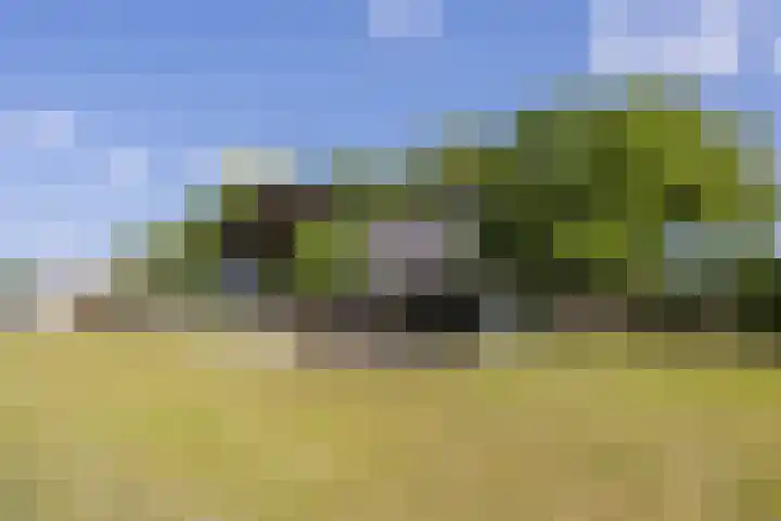 Tervoortseweg 10 E Bavel thumbnail 57