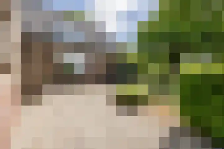 Tervoortseweg 10 E Bavel thumbnail 58