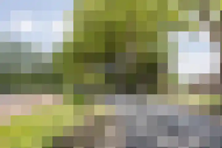 Tervoortseweg 10 E Bavel thumbnail 60