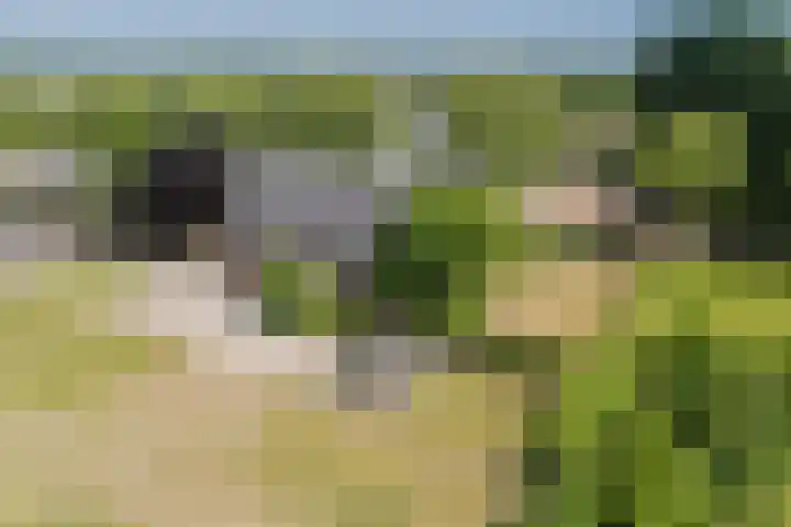 Tervoortseweg 10 E Bavel thumbnail 61
