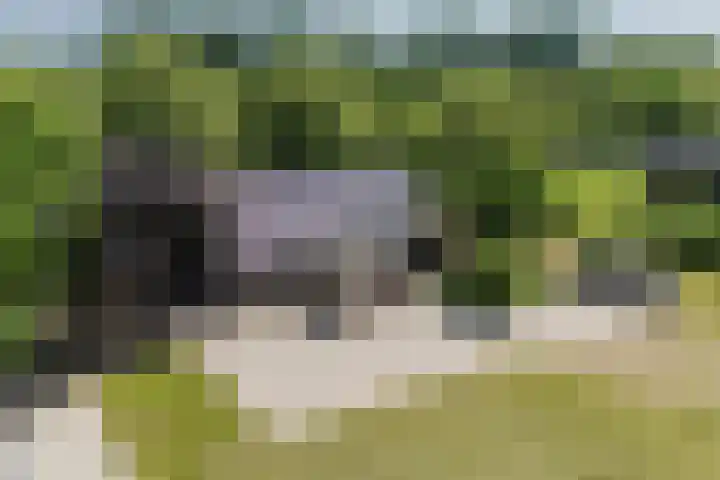 Tervoortseweg 10 E Bavel thumbnail 62