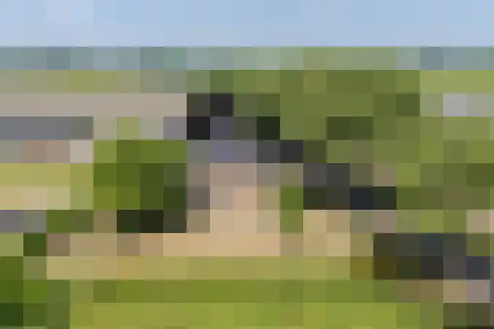 Tervoortseweg 10 E Bavel thumbnail 63