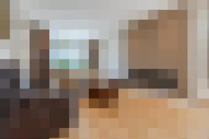 Tervoortseweg 10 E Bavel thumbnail 9