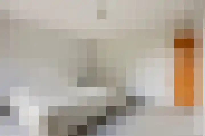 Tervurenhof 5 Eindhoven thumbnail 27