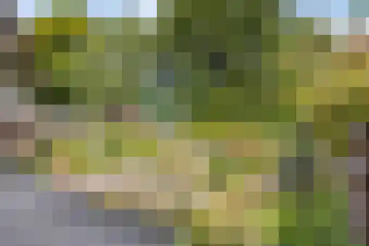 Tervurenhof 5 Eindhoven thumbnail 42