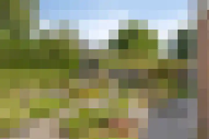 Tervurenhof 5 Eindhoven thumbnail 44