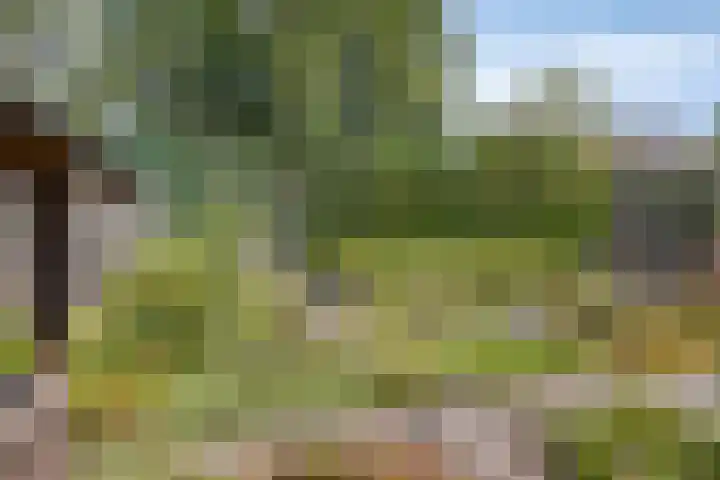 Tervurenhof 5 Eindhoven thumbnail 45