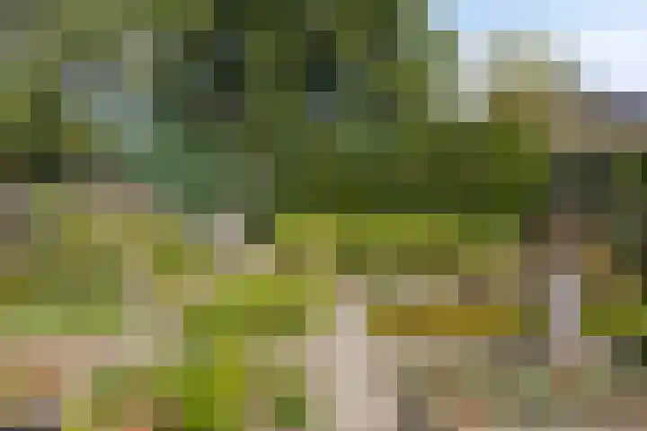 Tervurenhof 5 Eindhoven thumbnail 46