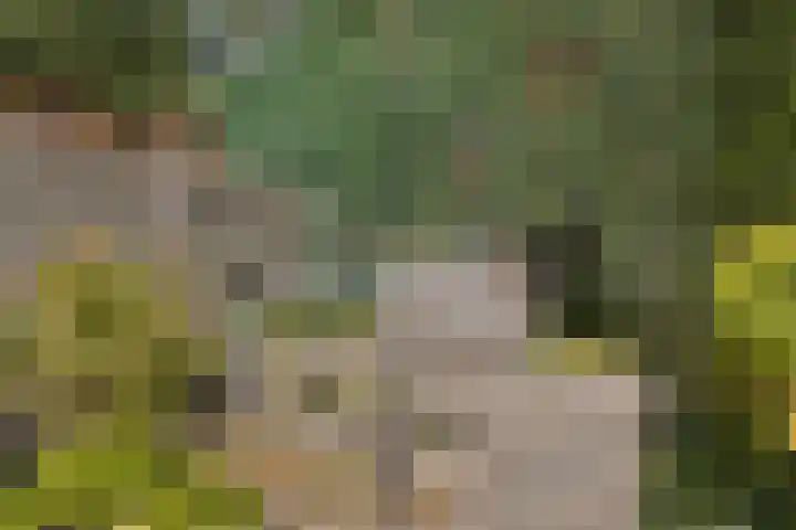 Tervurenhof 5 Eindhoven thumbnail 47