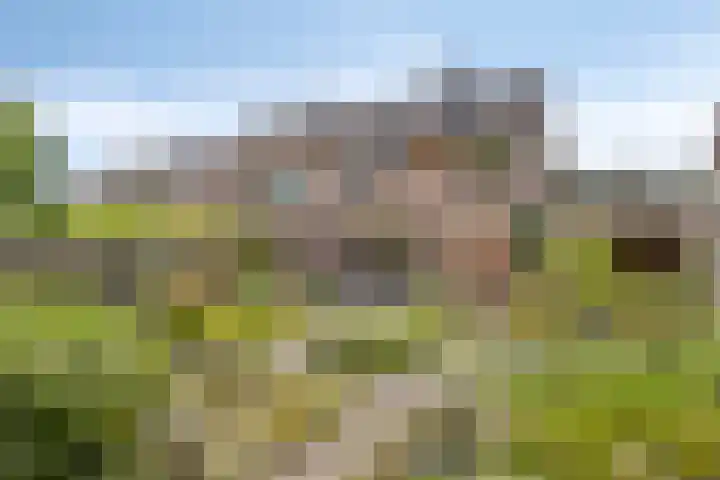 Tervurenhof 5 Eindhoven thumbnail 48