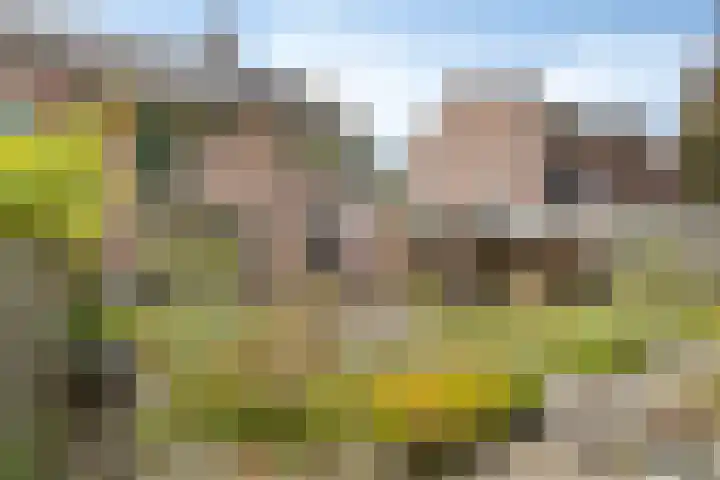 Tervurenhof 5 Eindhoven thumbnail 49