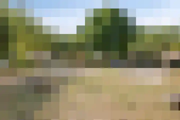 Tervurenhof 5 Eindhoven thumbnail 52