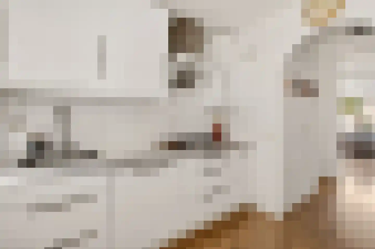 Tervurenpad 2 Amsterdam thumbnail 12