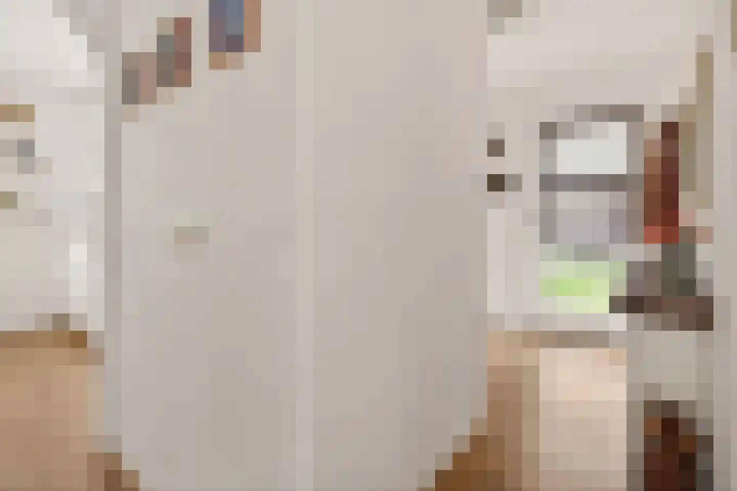 Tervurenpad 2 Amsterdam thumbnail 15