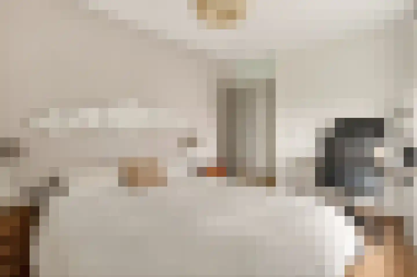 Tervurenpad 2 Amsterdam thumbnail 19