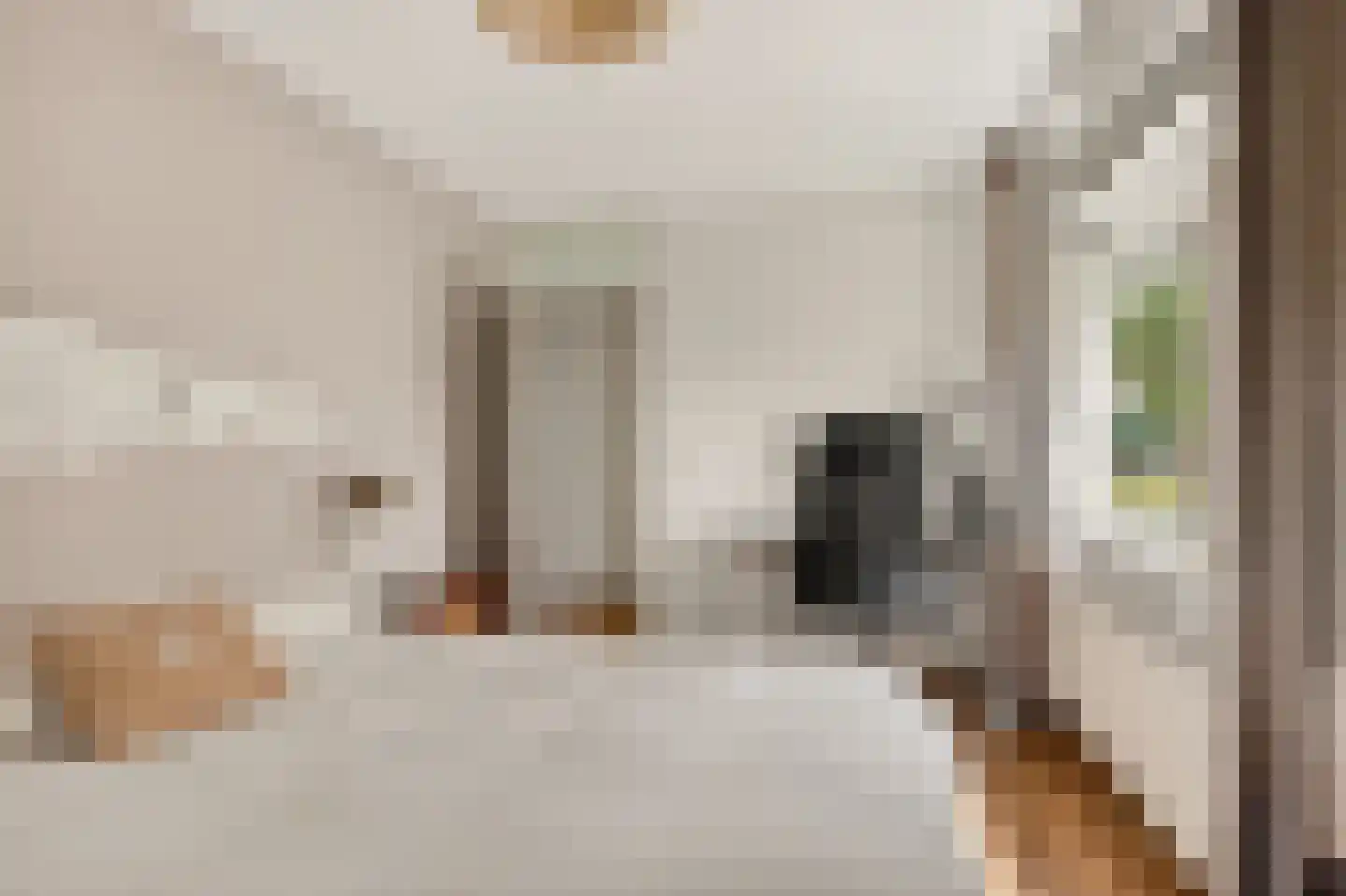 Tervurenpad 2 Amsterdam thumbnail 21
