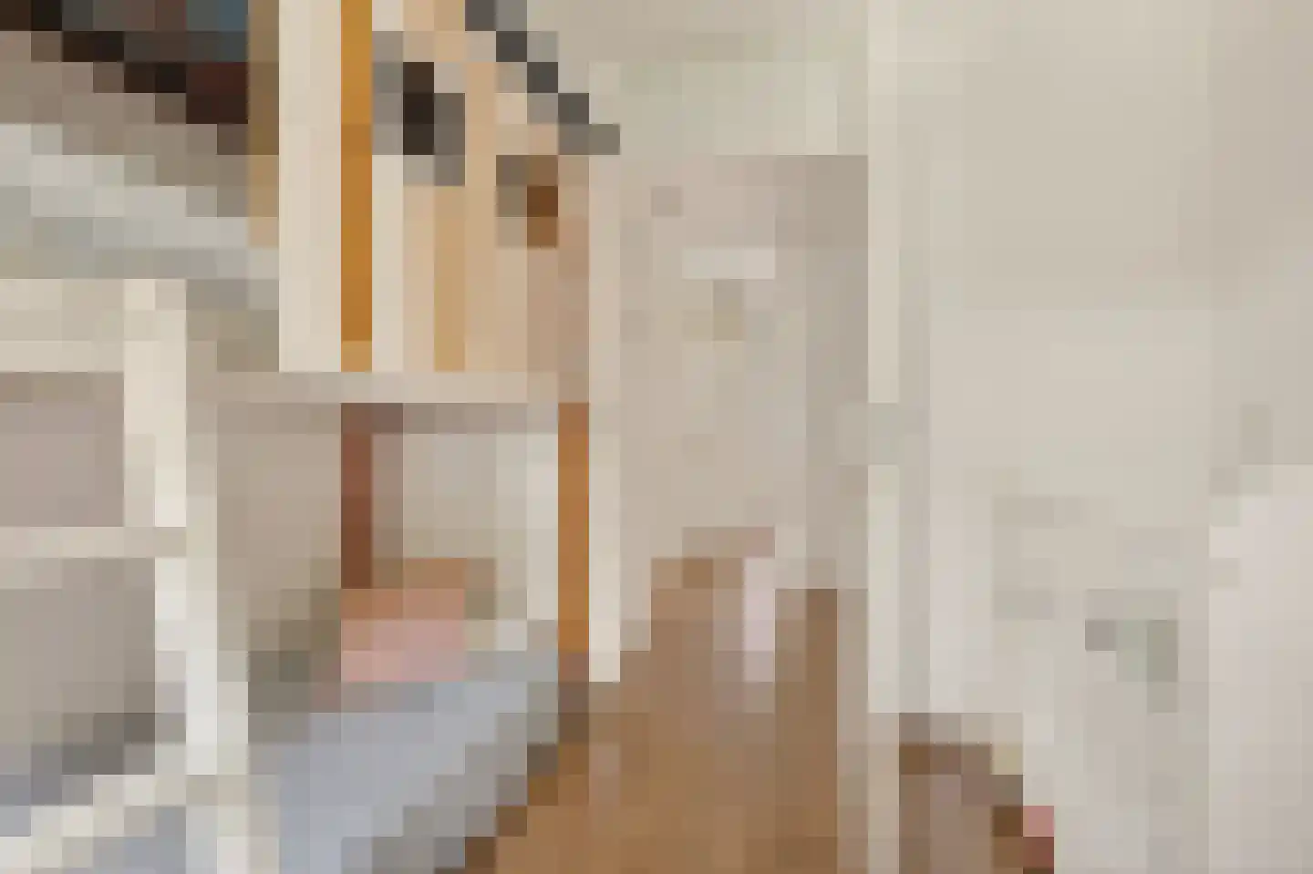 Tervurenpad 2 Amsterdam thumbnail 26